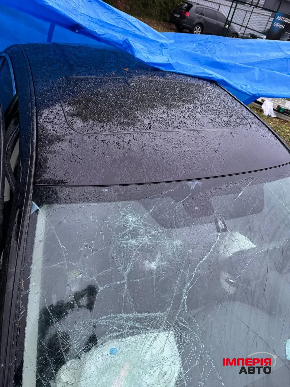 Infiniti Q50 - фото 6