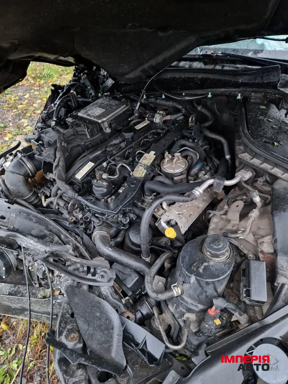 Infiniti Q50 - фото 5