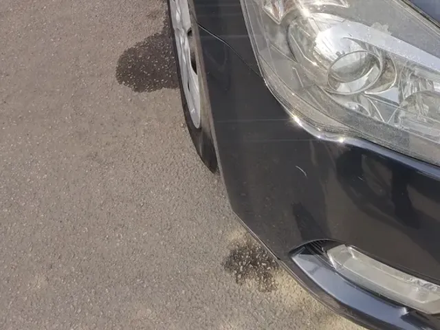 Kia Ceed - фото 2