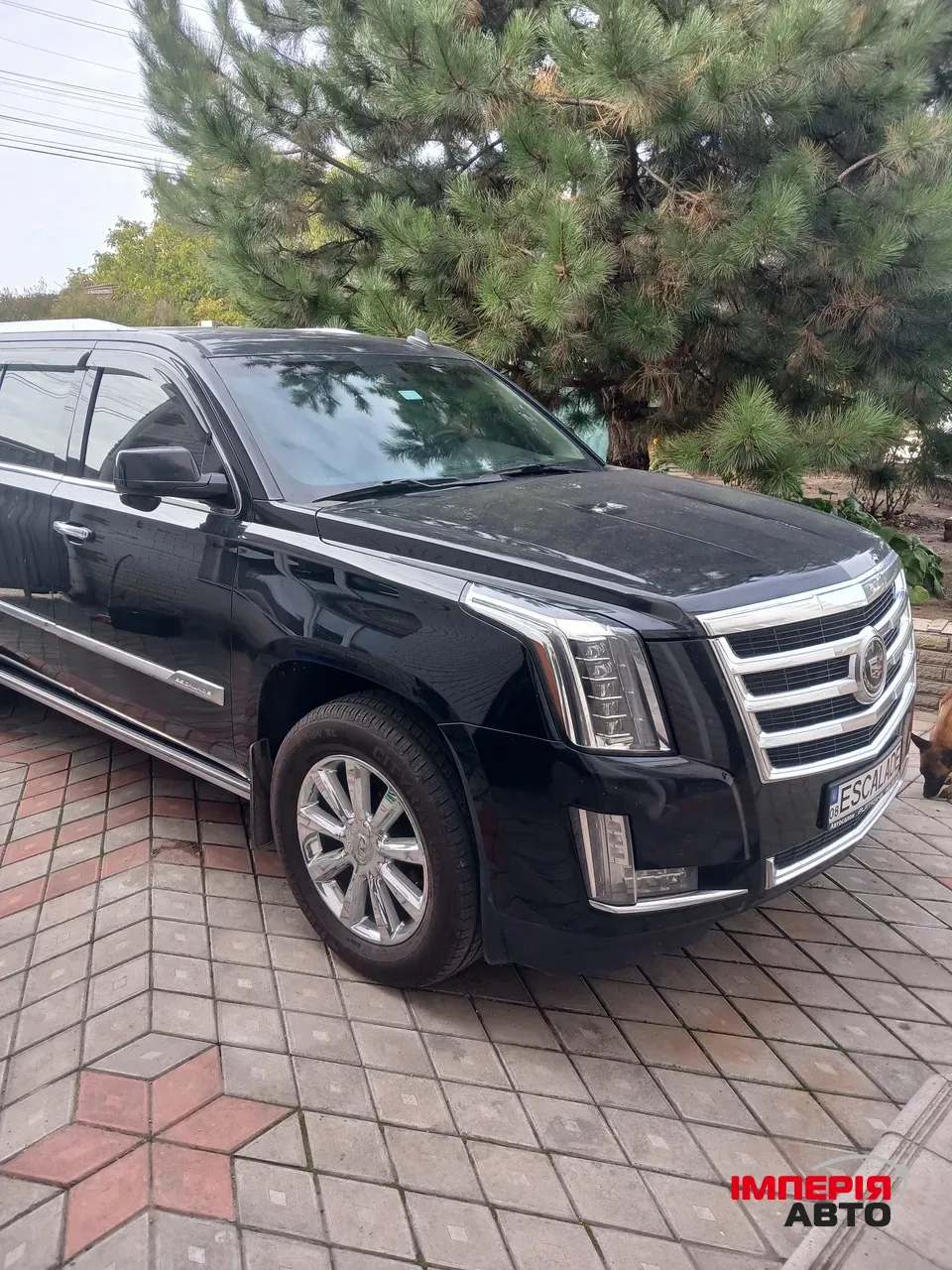 Cadillac Escalade - фото 6