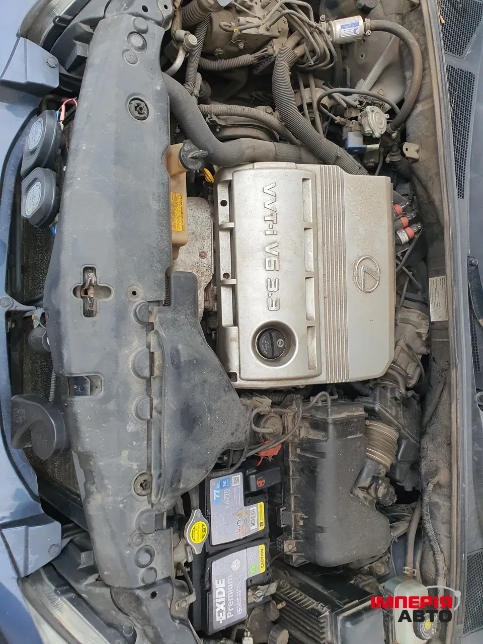 Lexus RX - фото 6