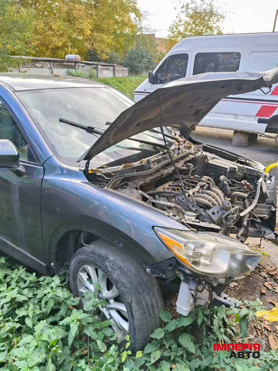 Mazda CX-5 - фото 3