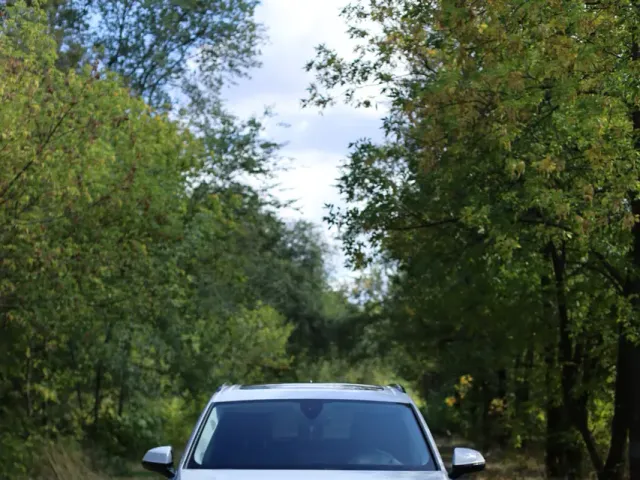 Audi Q7 - фото 1
