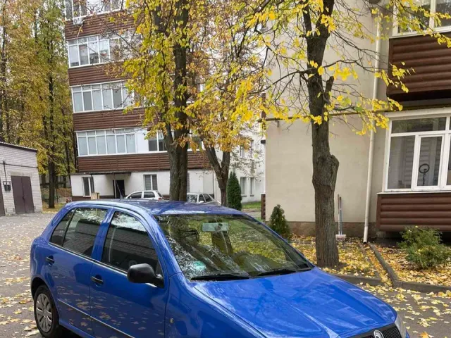 Skoda Fabia - фото 5