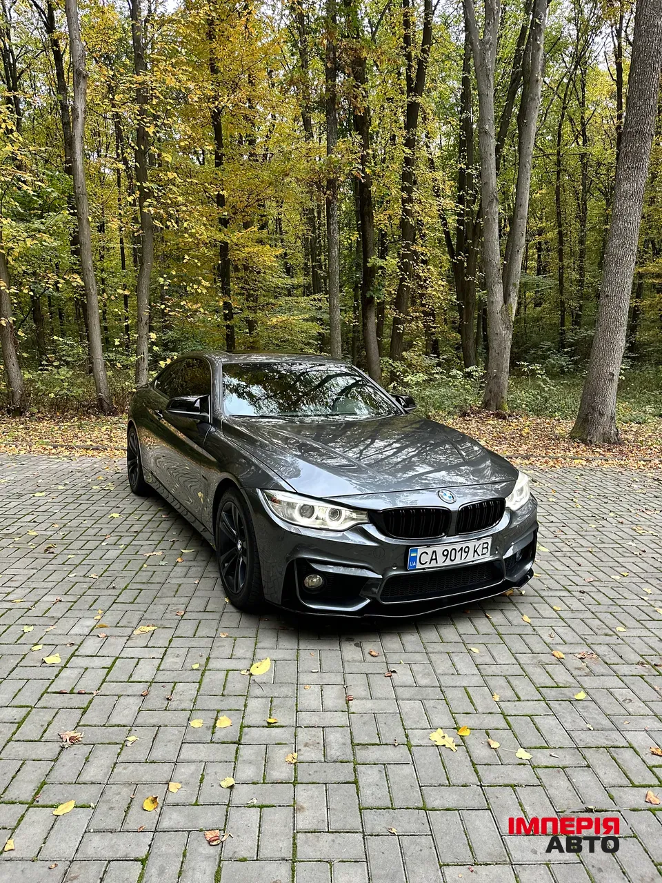 BMW 4 серії - фото 34