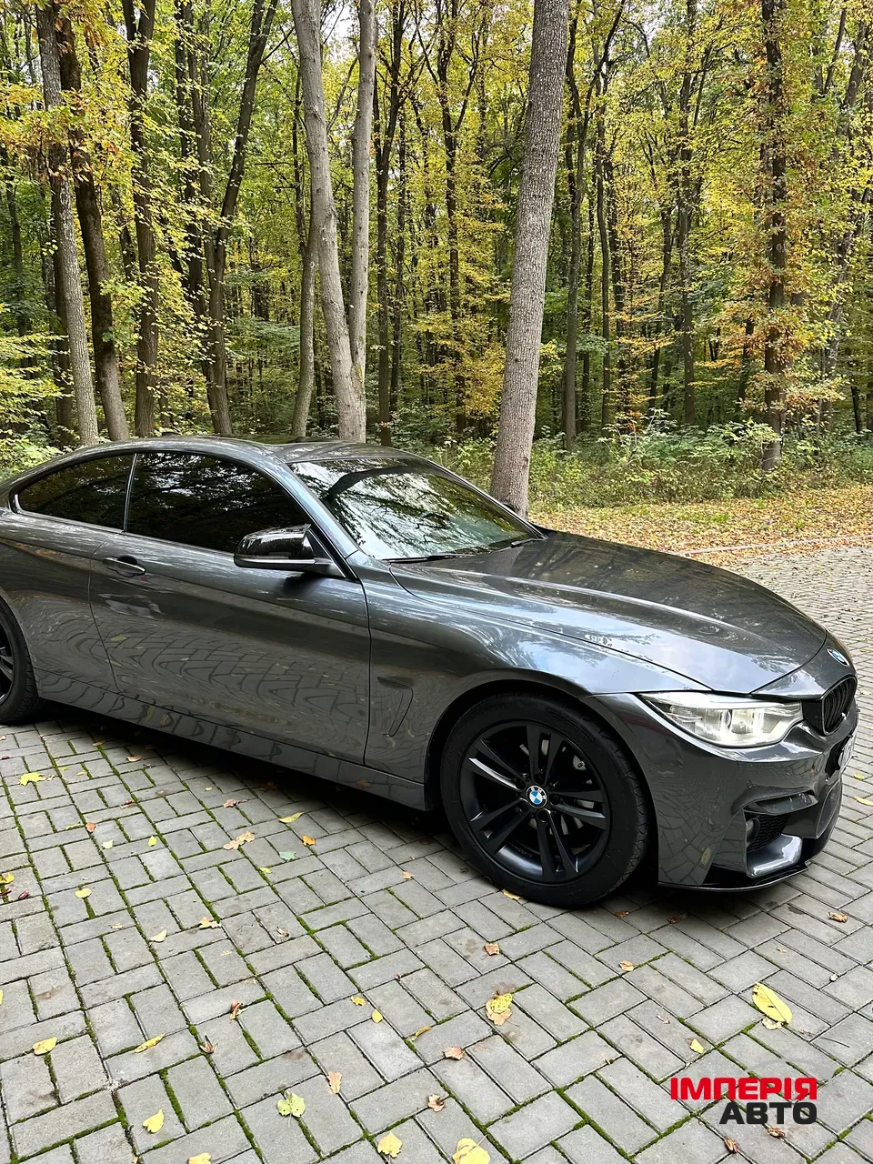 BMW 4 серії - фото 16