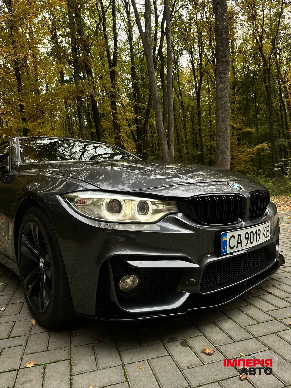 BMW 4 серії - фото 31