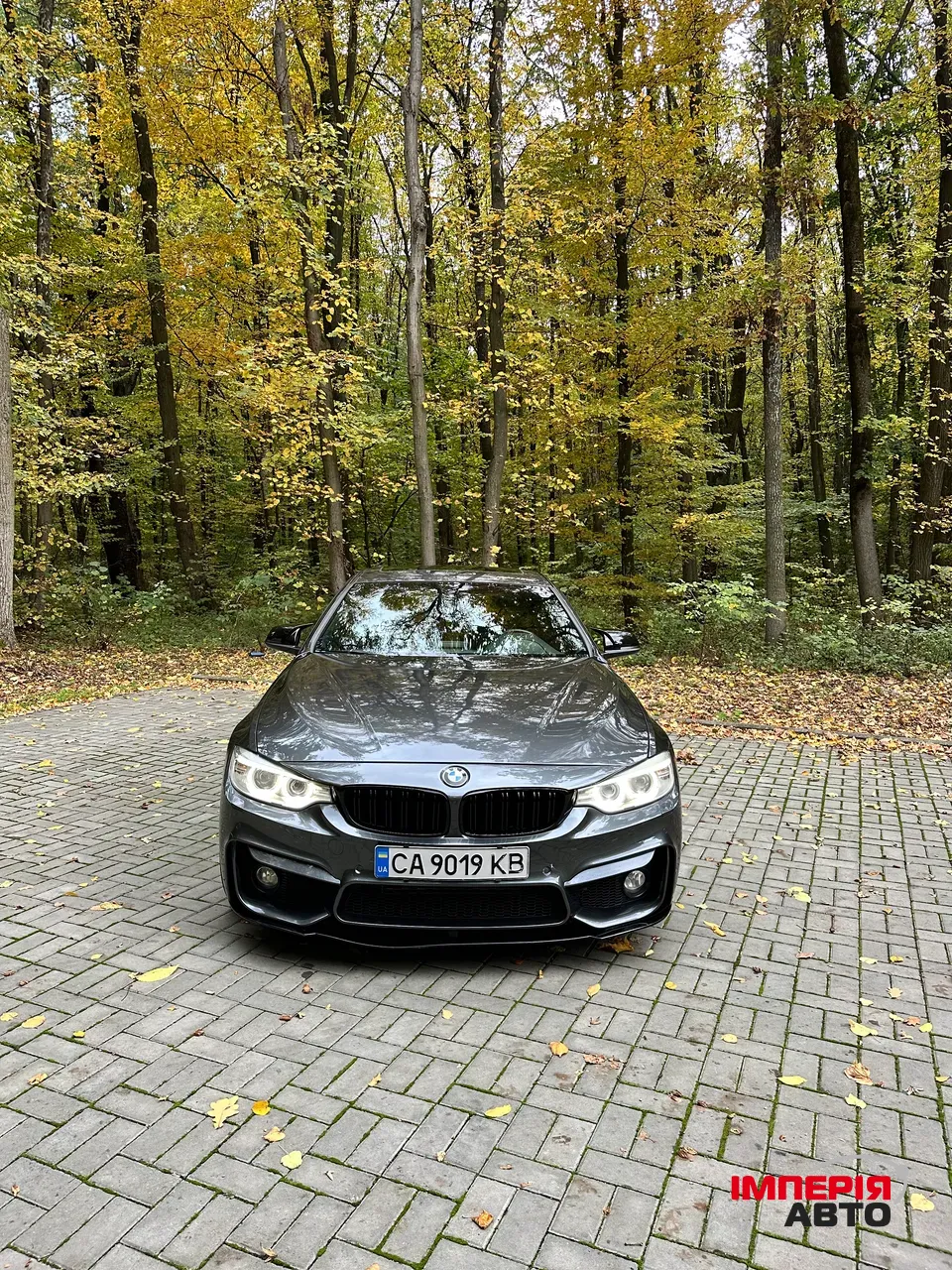 BMW 4 серії - фото 32