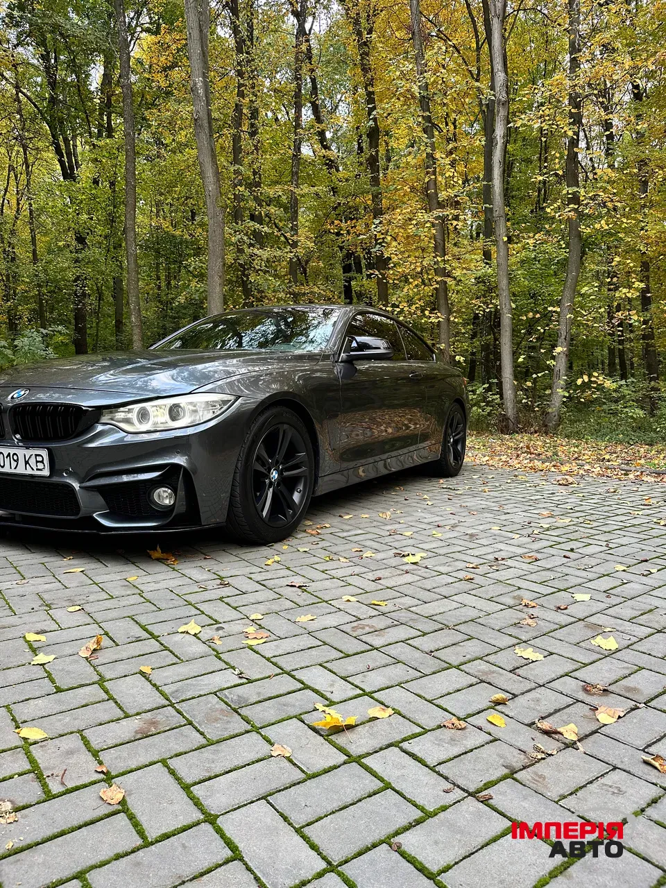 BMW 4 серії - фото 19