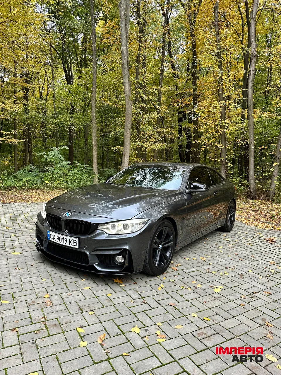 BMW 4 серії - фото 29