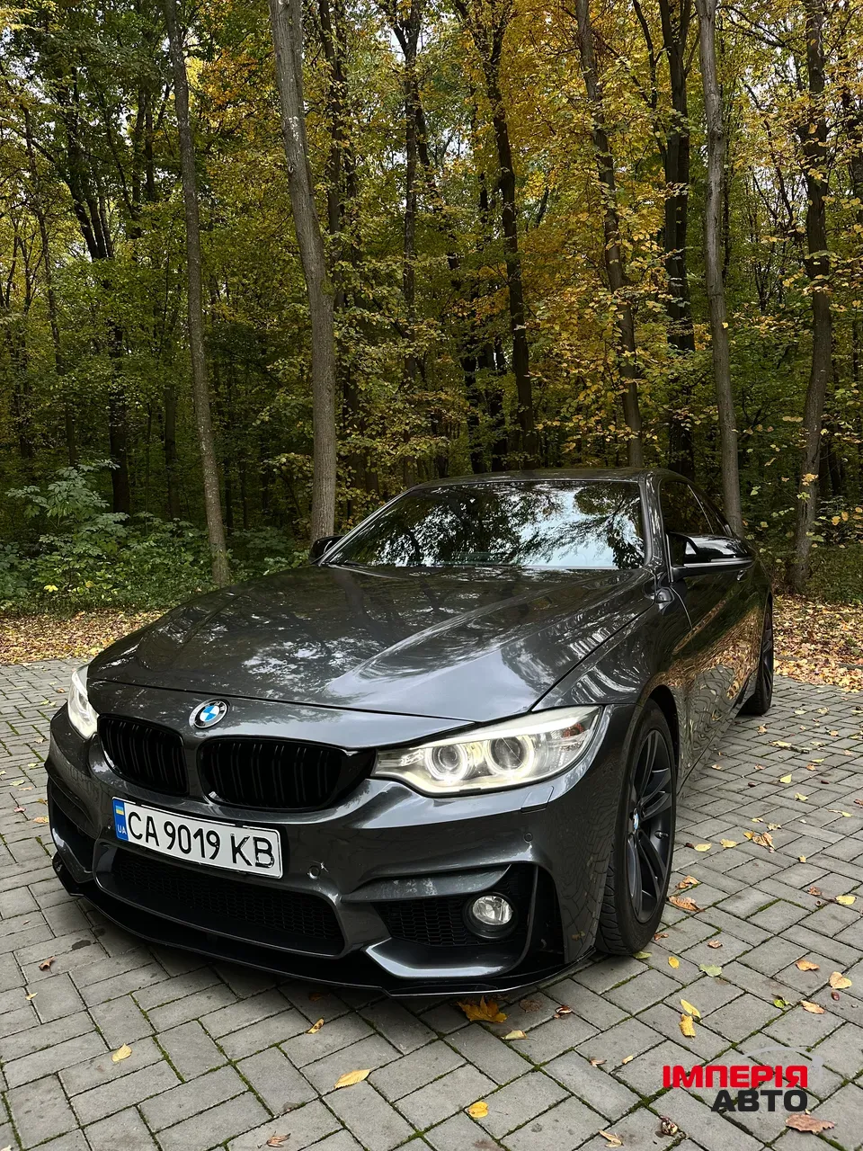 BMW 4 серії - фото 5