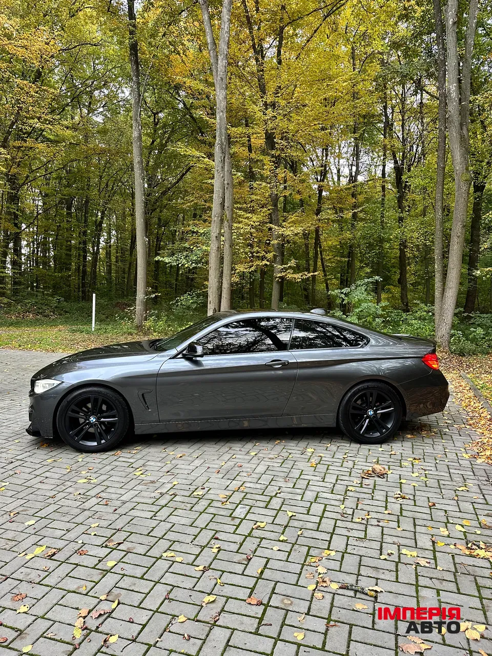 BMW 4 серії - фото 35