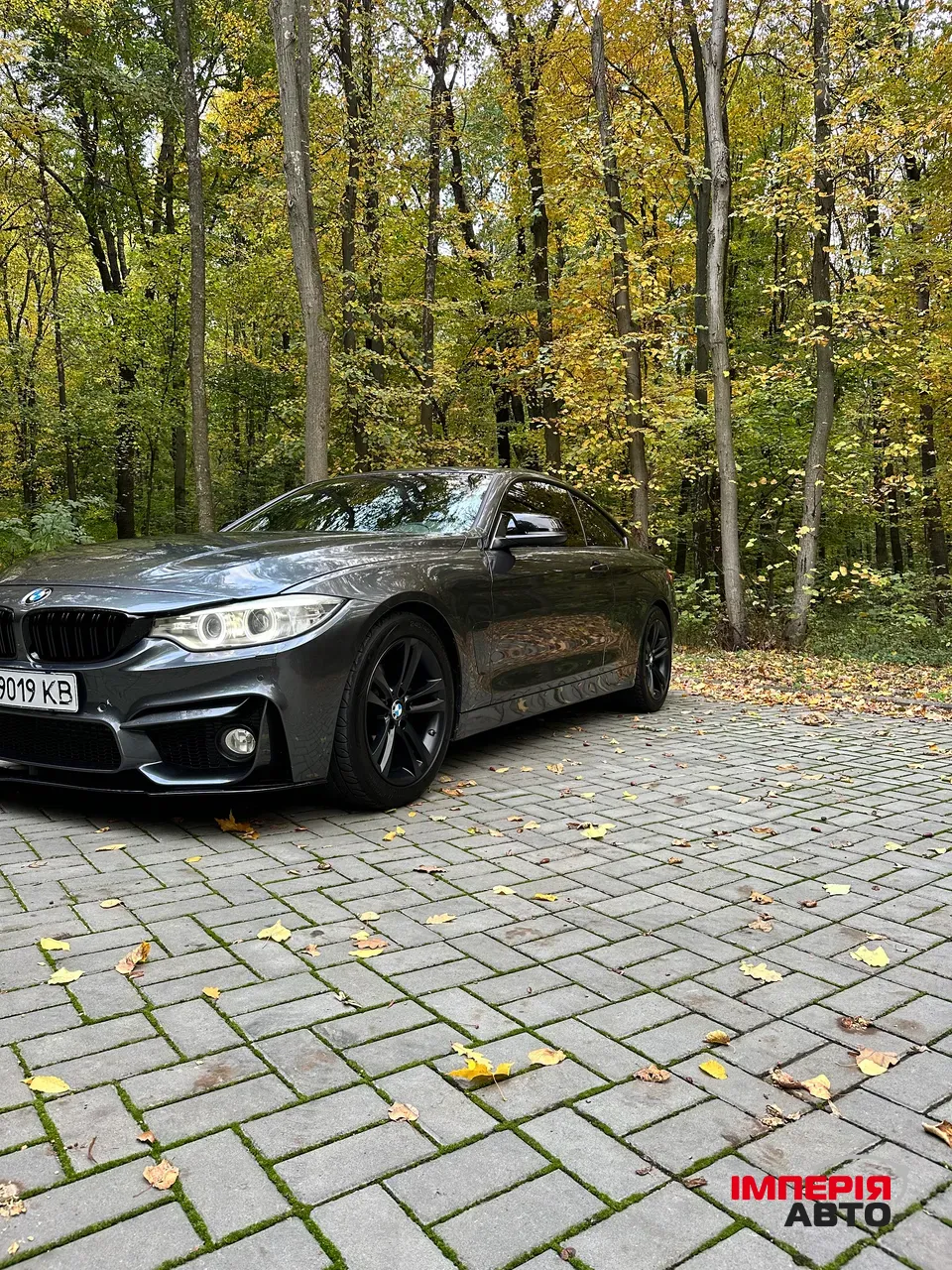 BMW 4 серії - фото 17