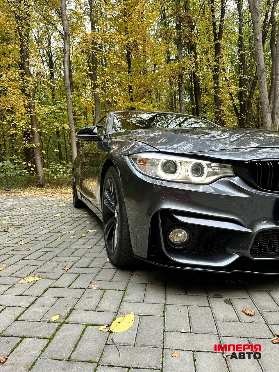 BMW 4 серії - фото 40