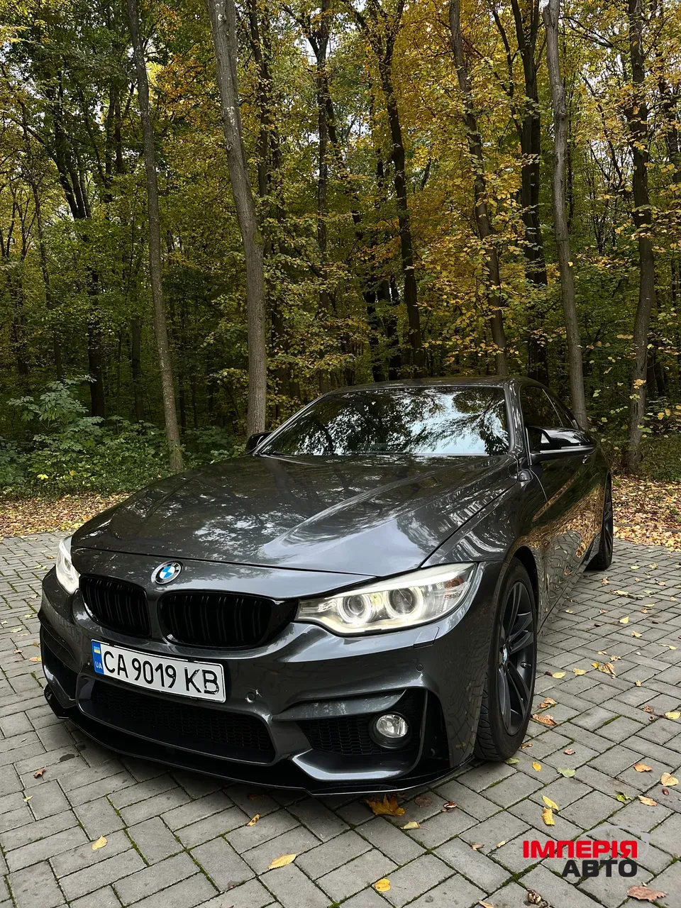 BMW 4 серії - фото 4