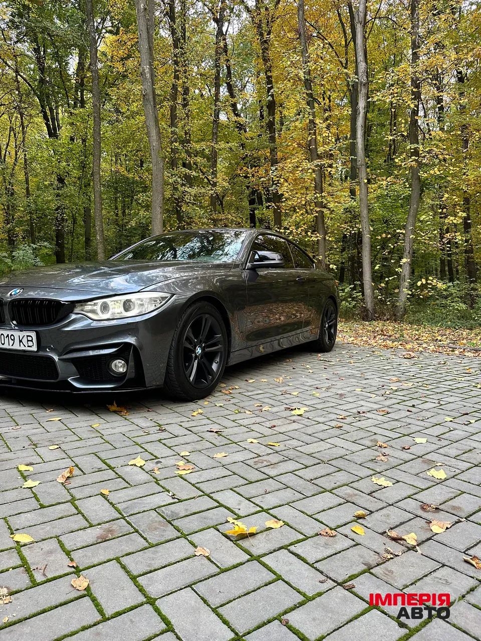 BMW 4 серії - фото 14