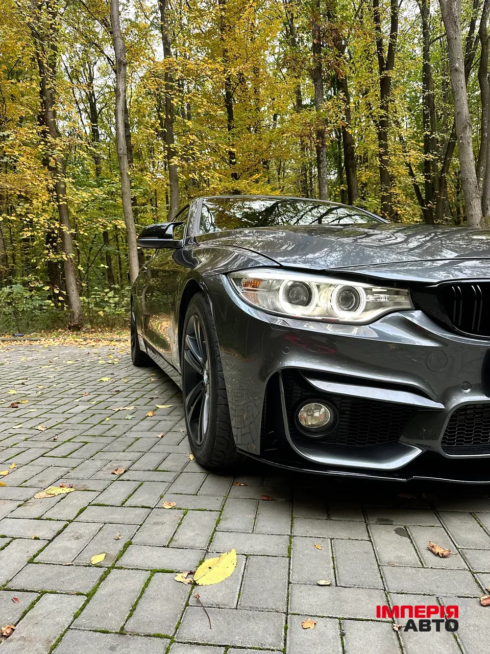 BMW 4 серії - фото 15