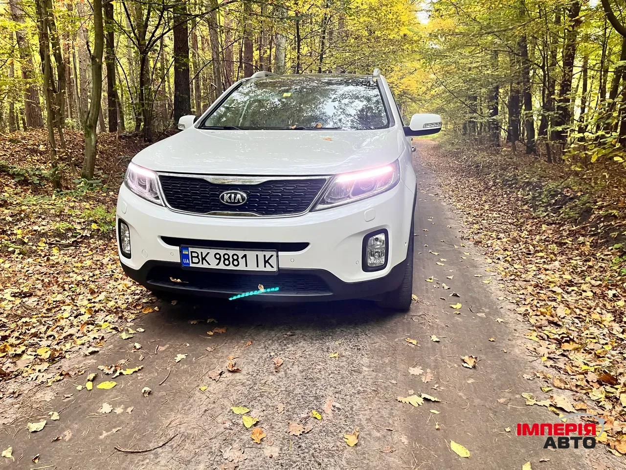 Kia Sorento - фото 19