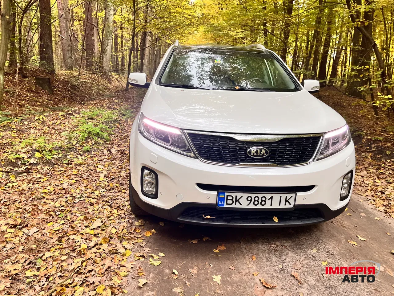 Kia Sorento - фото 43