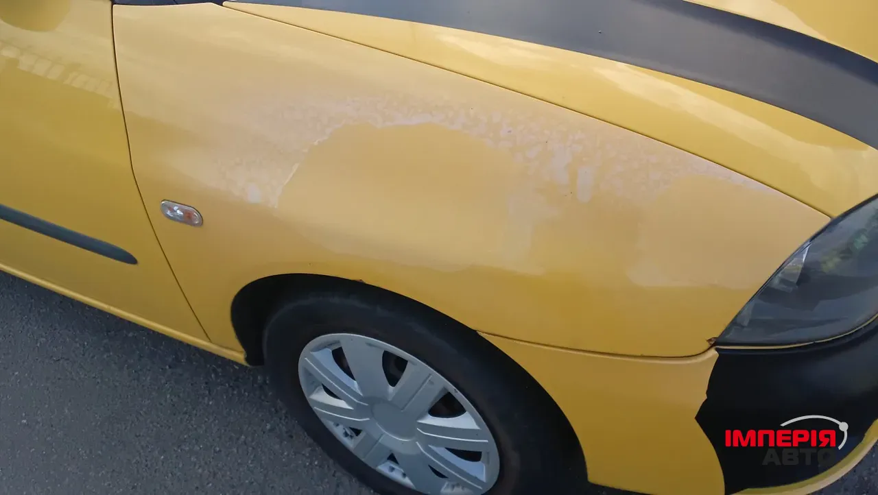 SEAT Ibiza - фото 13