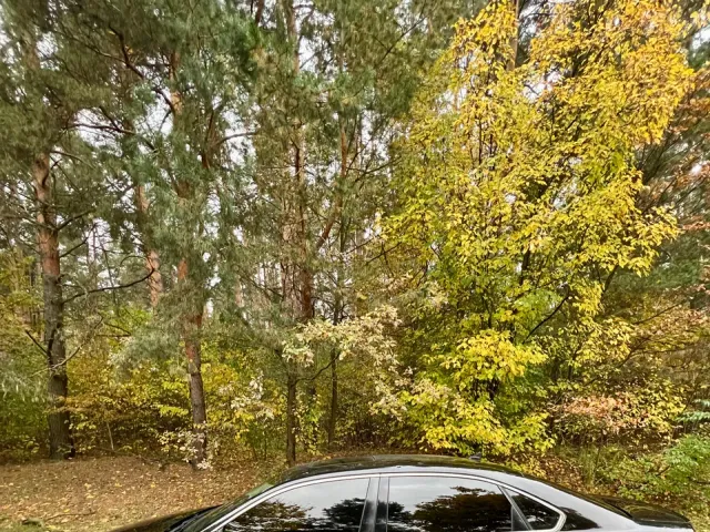 Volkswagen Passat (North America and China) - фото 3