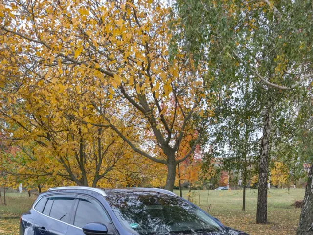 Renault Megane - фото 2