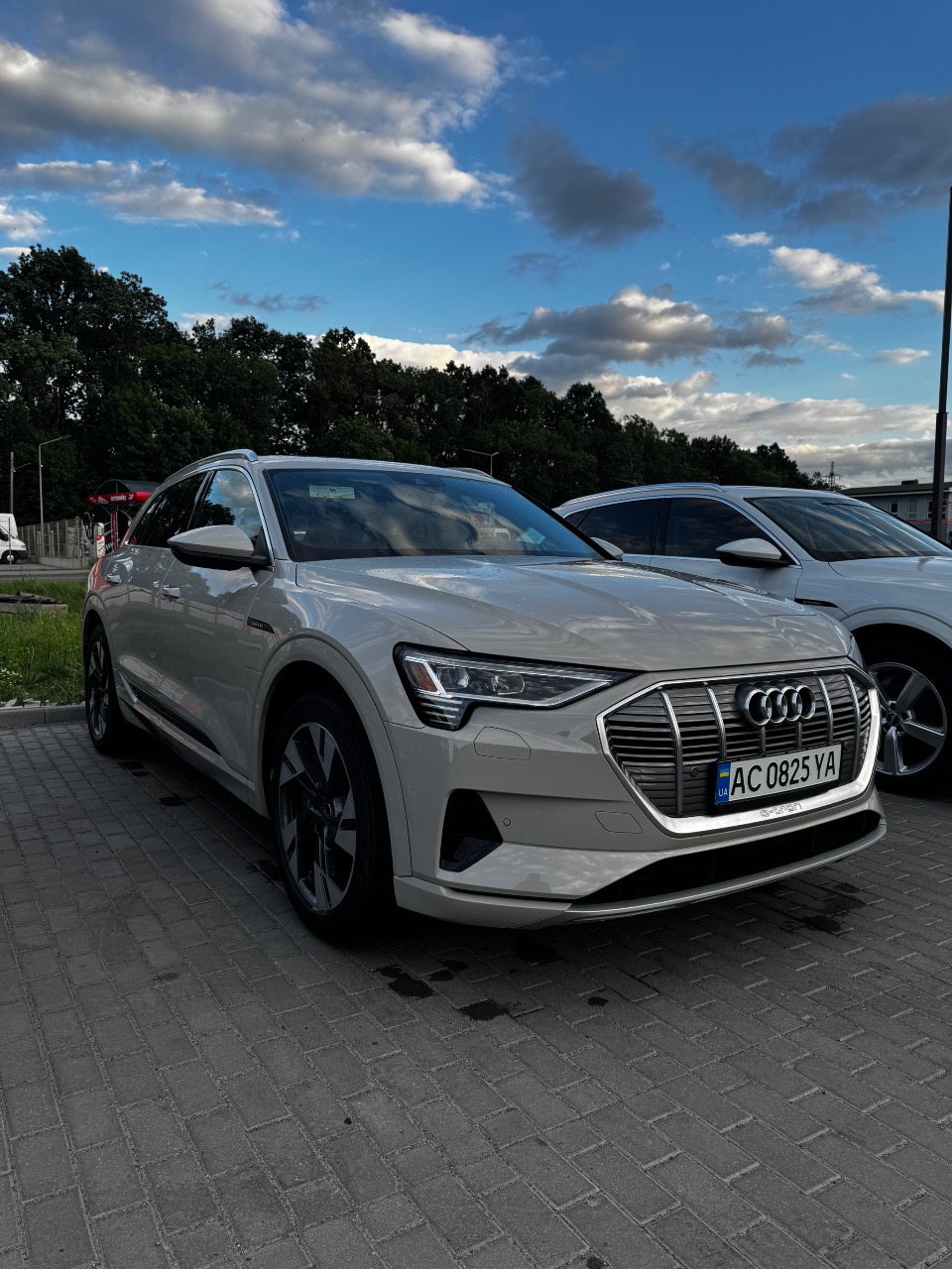 Audi e-tron - фото 10