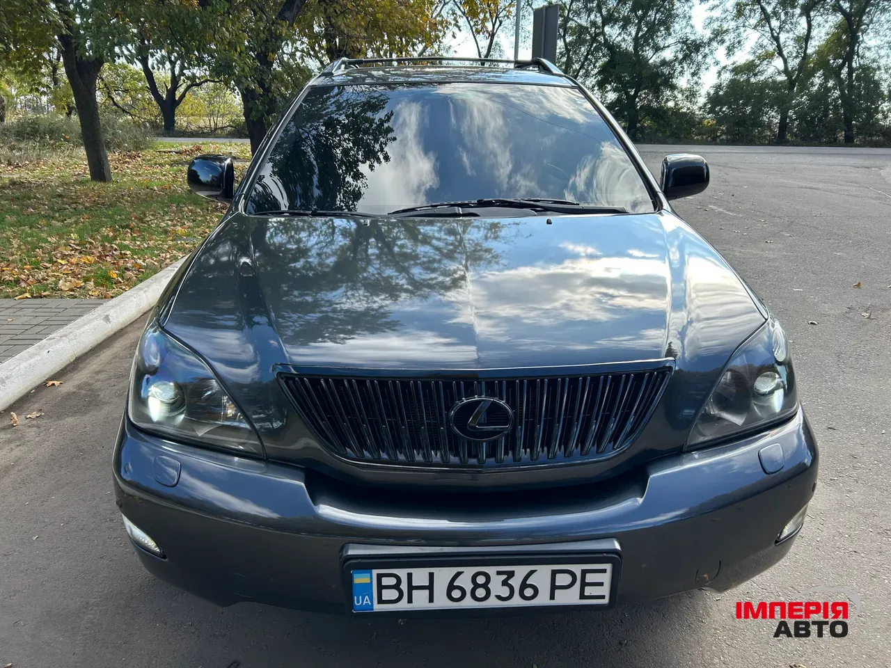 Lexus RX - фото 4