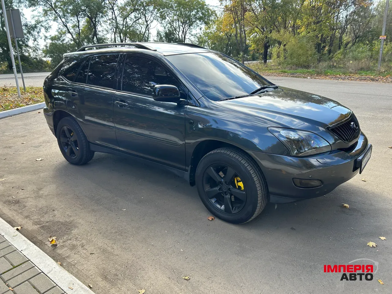 Lexus RX - фото 11