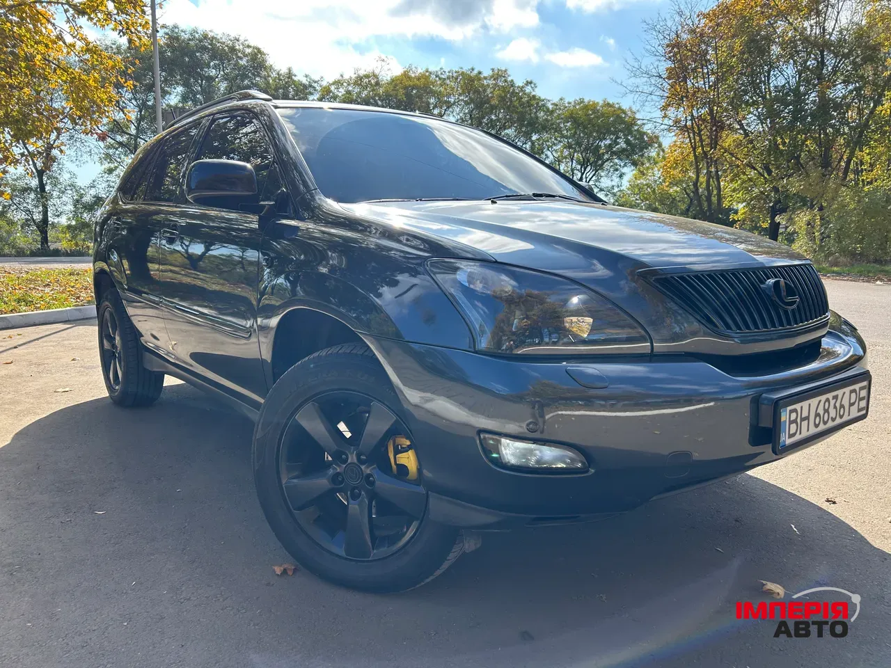 Lexus RX - фото 8