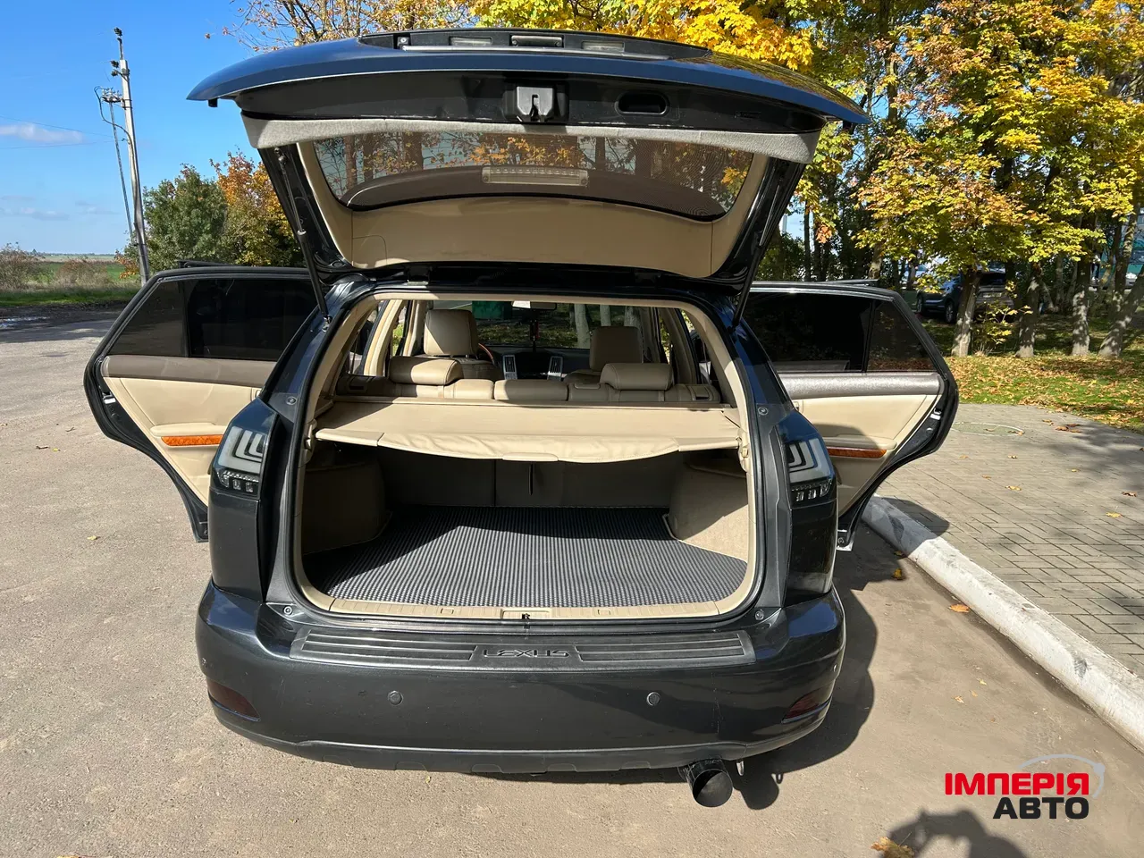 Lexus RX - фото 16