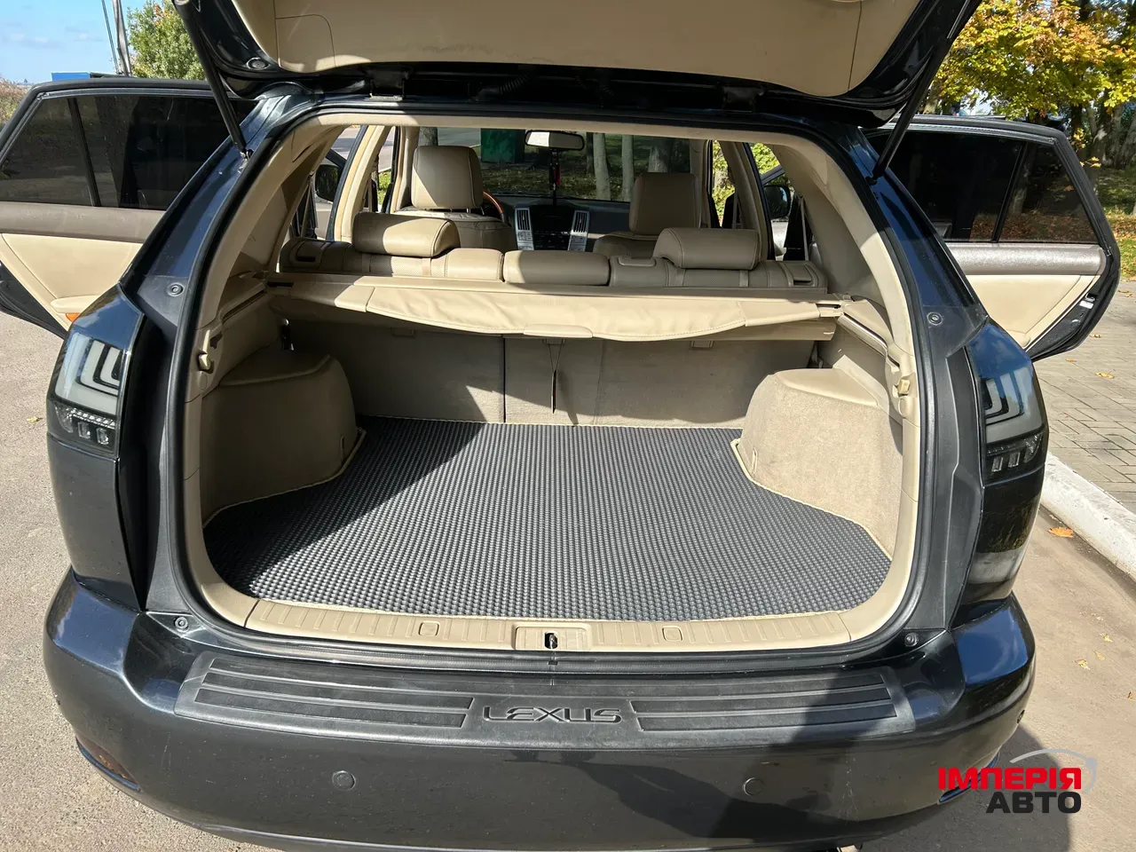 Lexus RX - фото 18