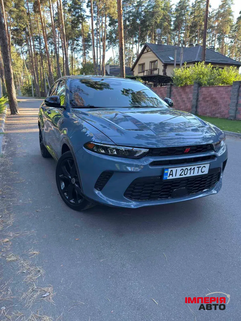 Dodge Hornet - фото 3