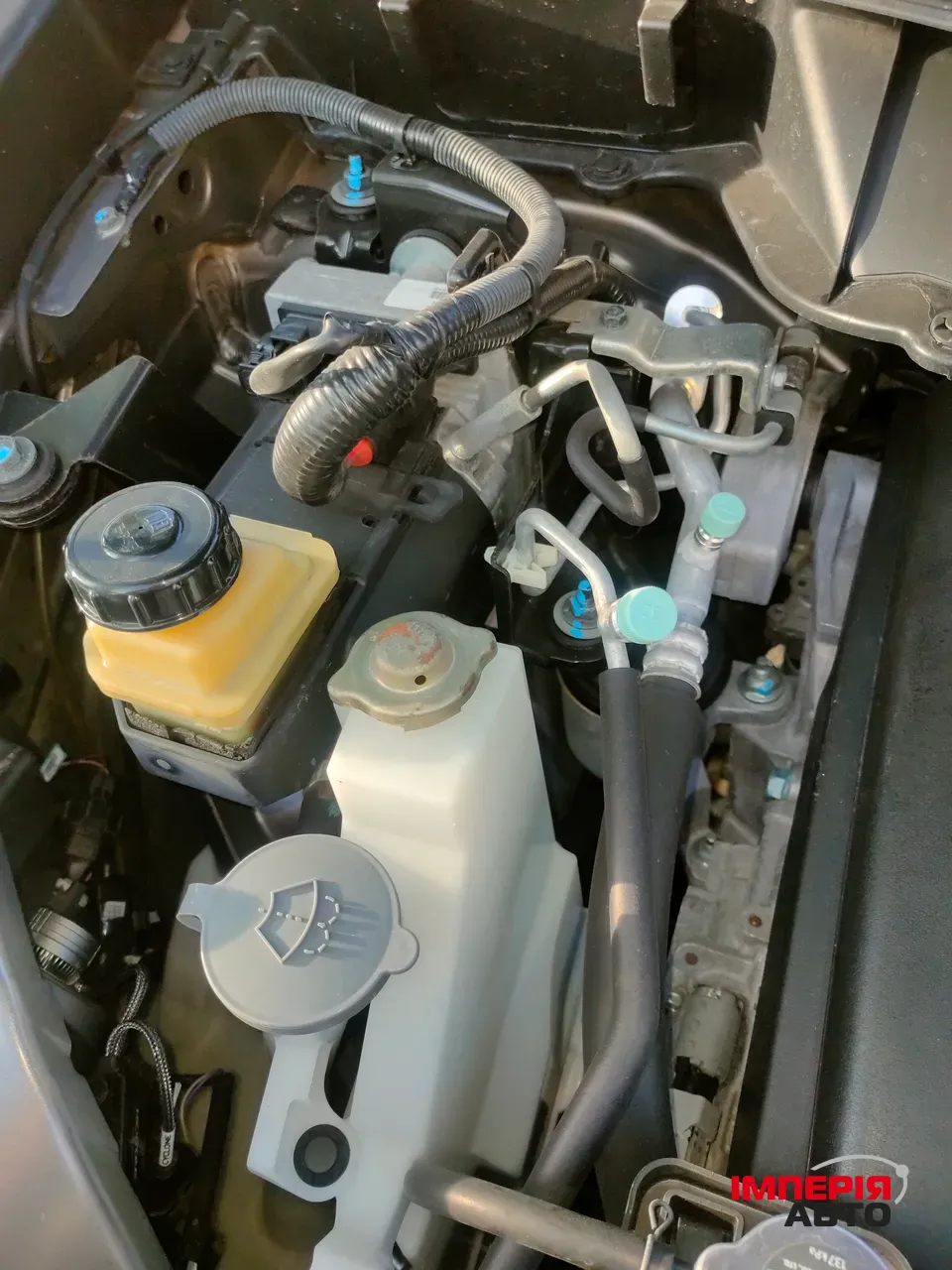 Nissan Quest - фото 21