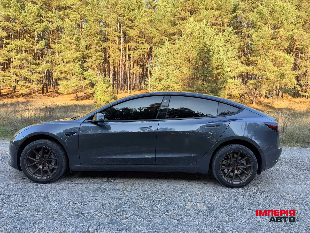 Tesla Model 3 - фото 5