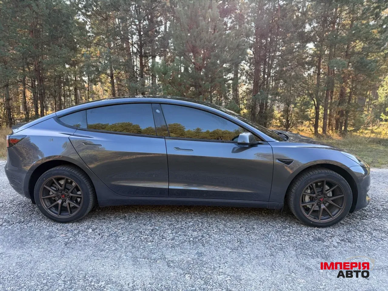 Tesla Model 3 - фото 3