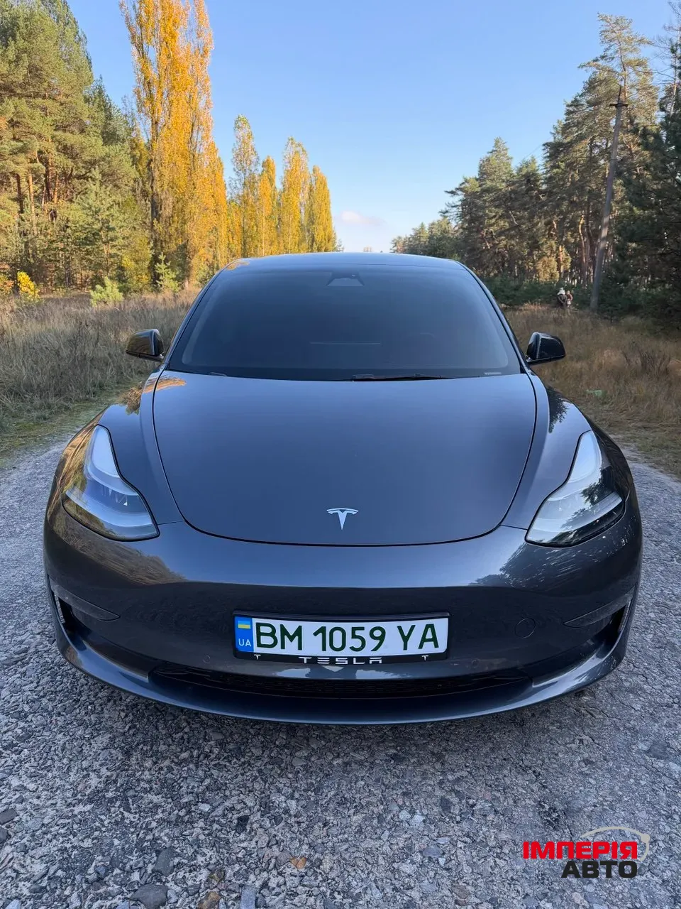 Tesla Model 3 - фото 2