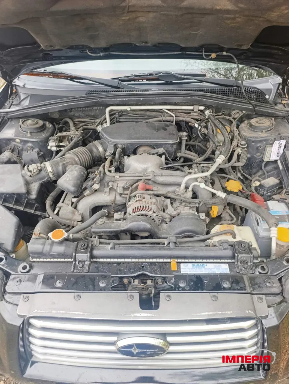 Subaru Forester - фото 9