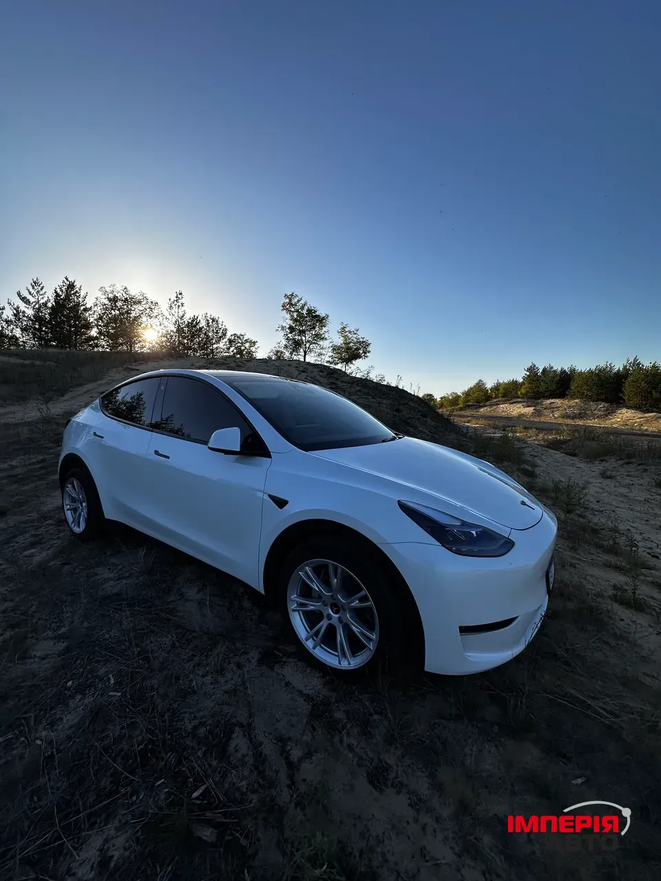 Tesla Model Y - фото 2