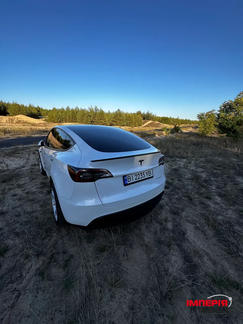 Tesla Model Y - фото 11