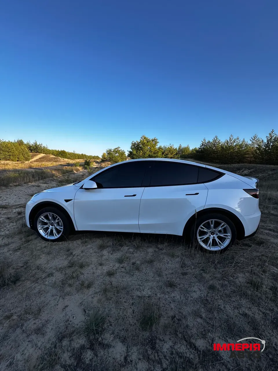 Tesla Model Y - фото 14