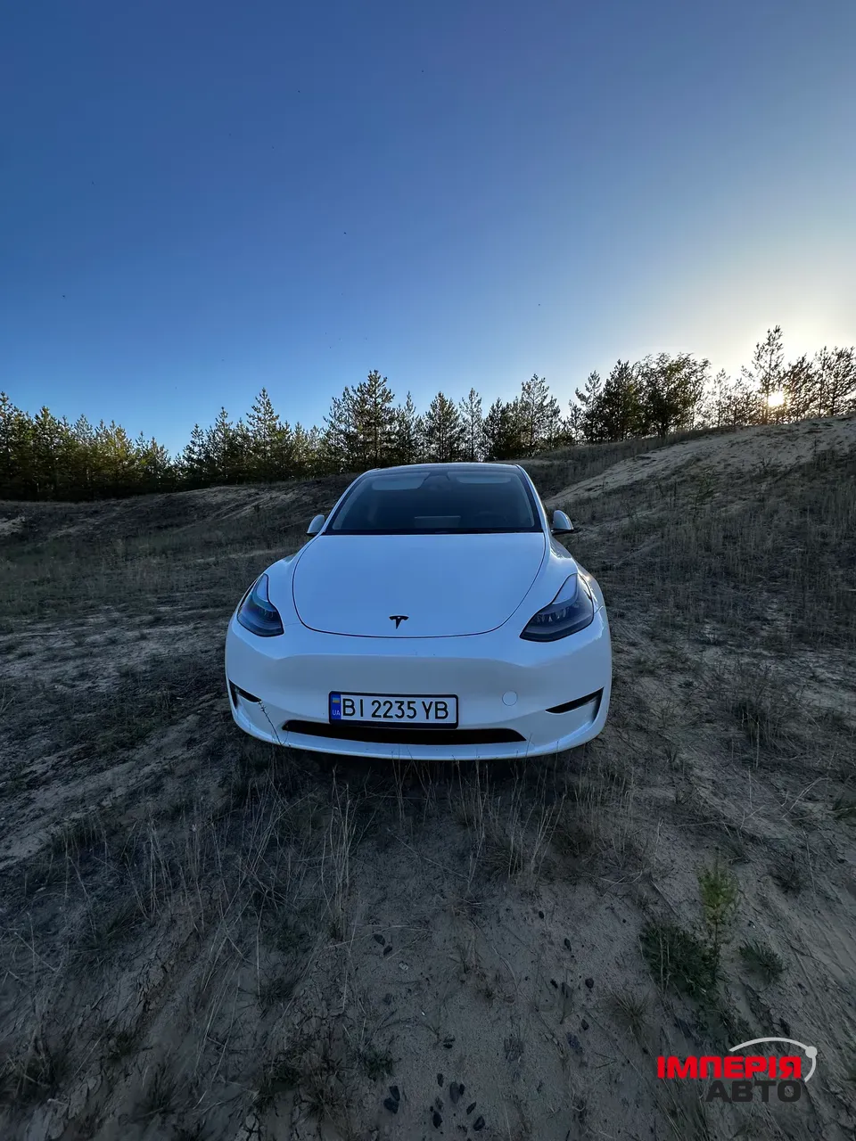 Tesla Model Y - фото 19