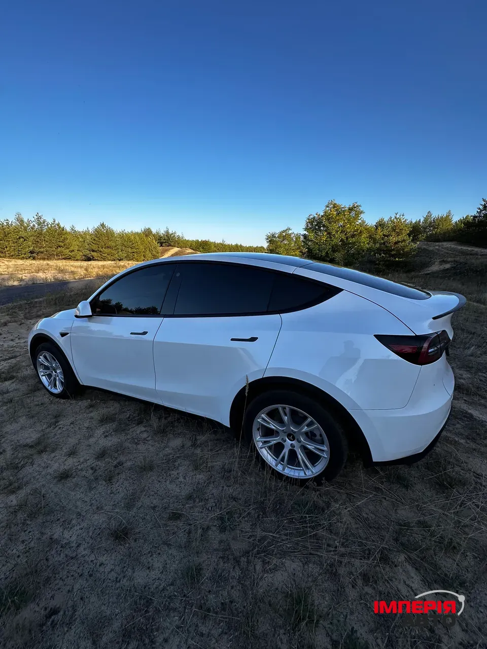 Tesla Model Y - фото 13