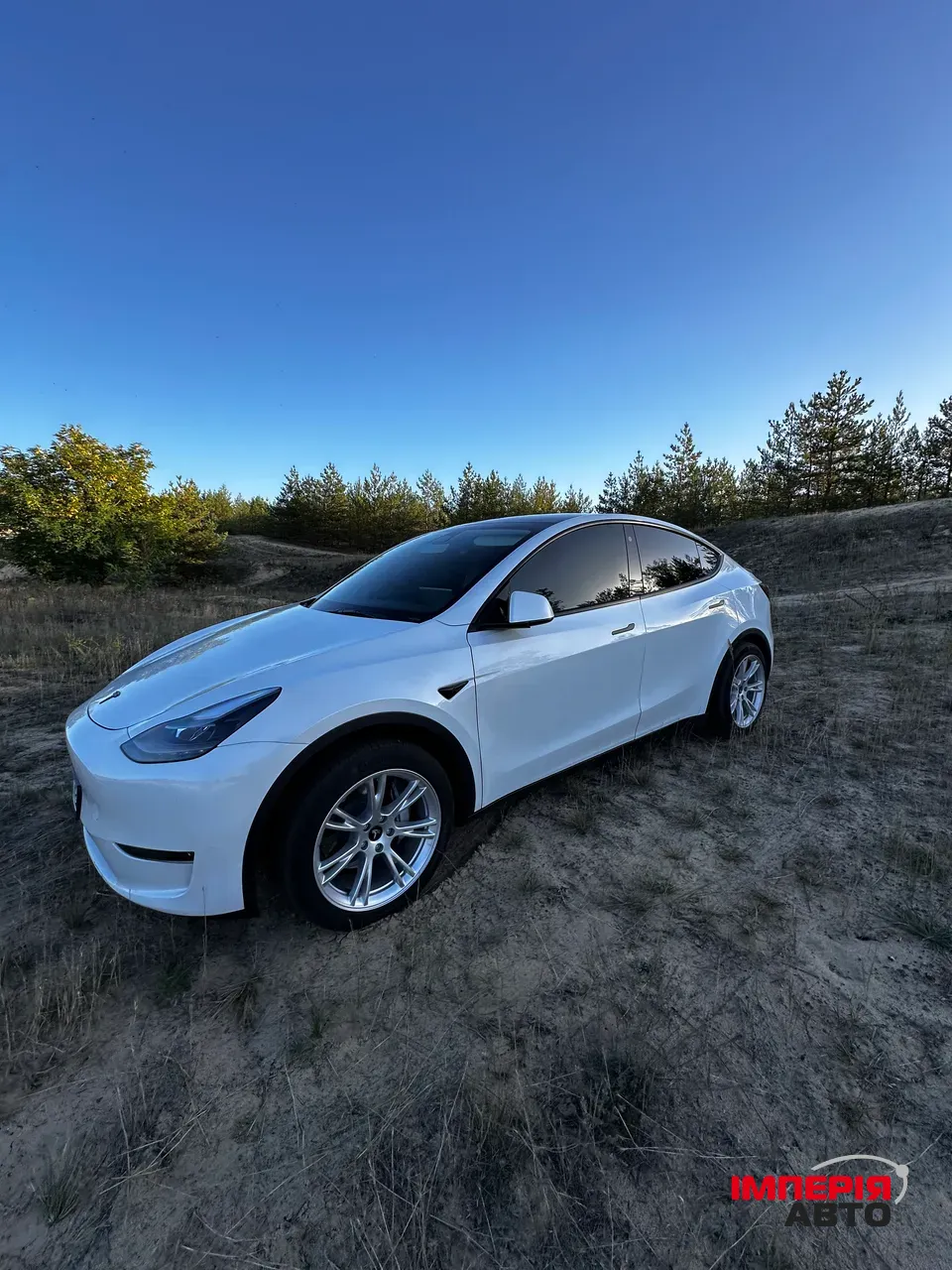 Tesla Model Y - фото 17