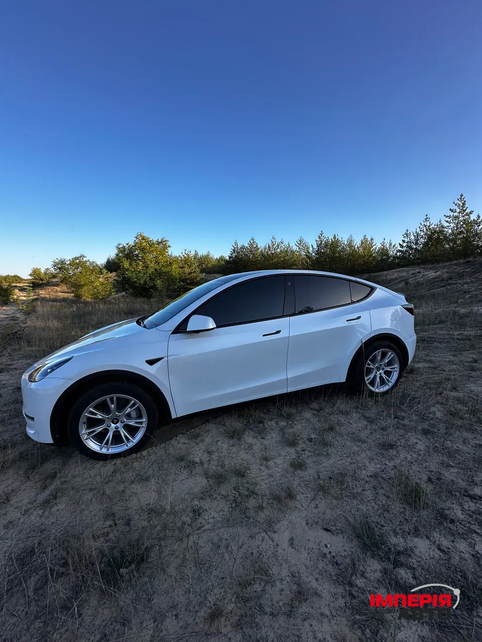 Tesla Model Y - фото 15