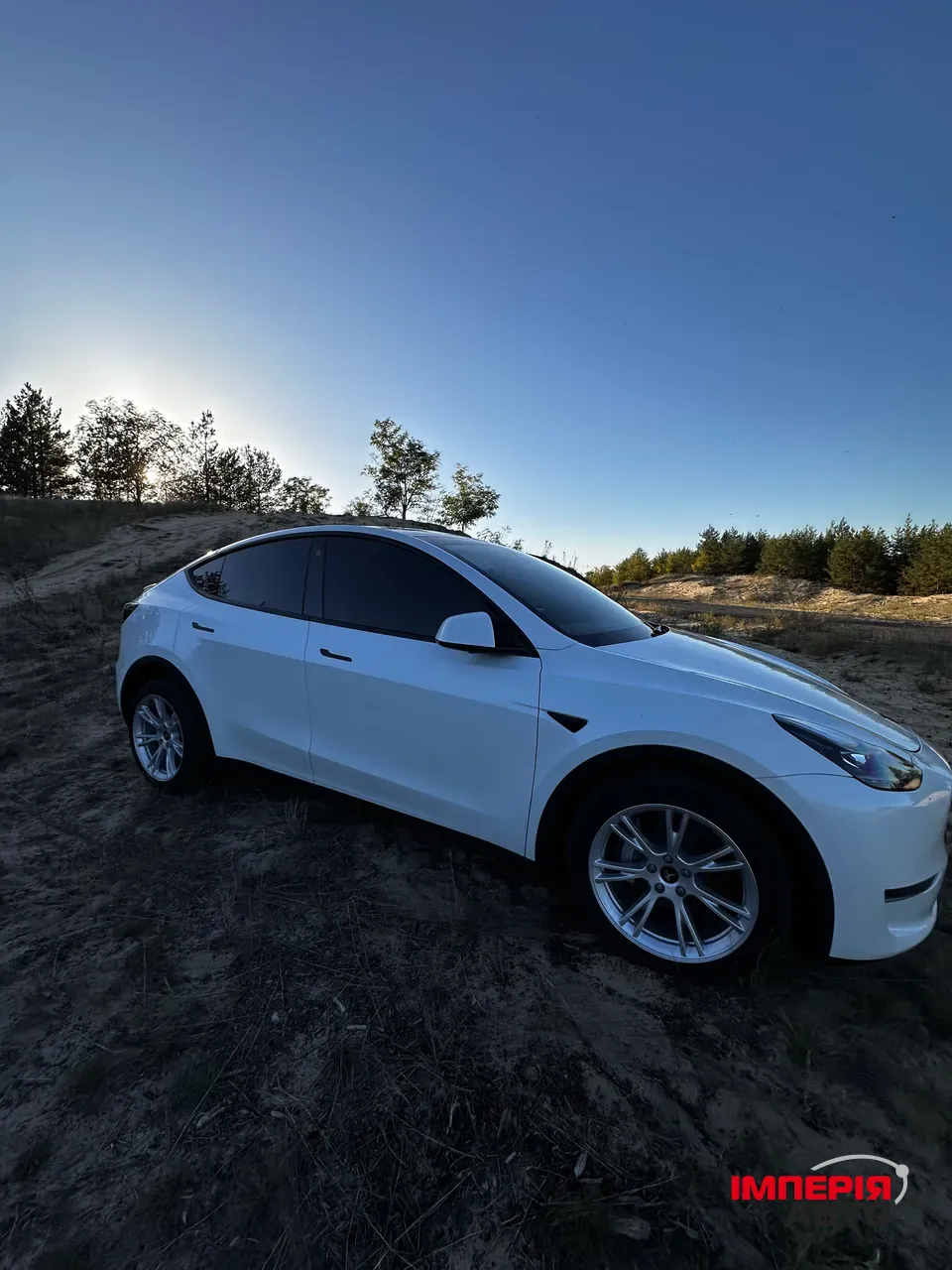 Tesla Model Y - фото 1