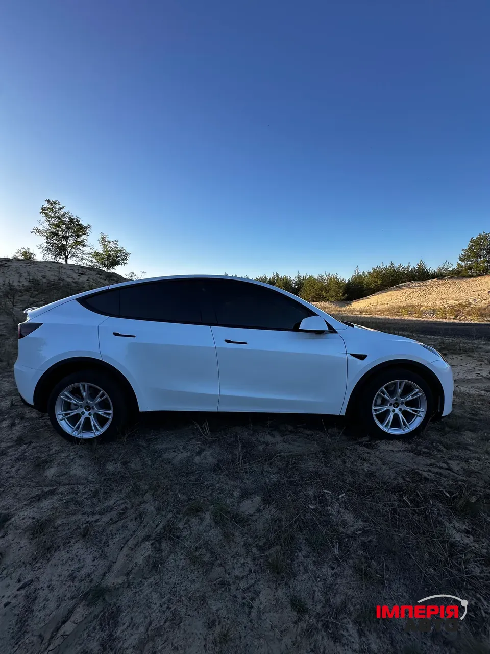 Tesla Model Y - фото 7