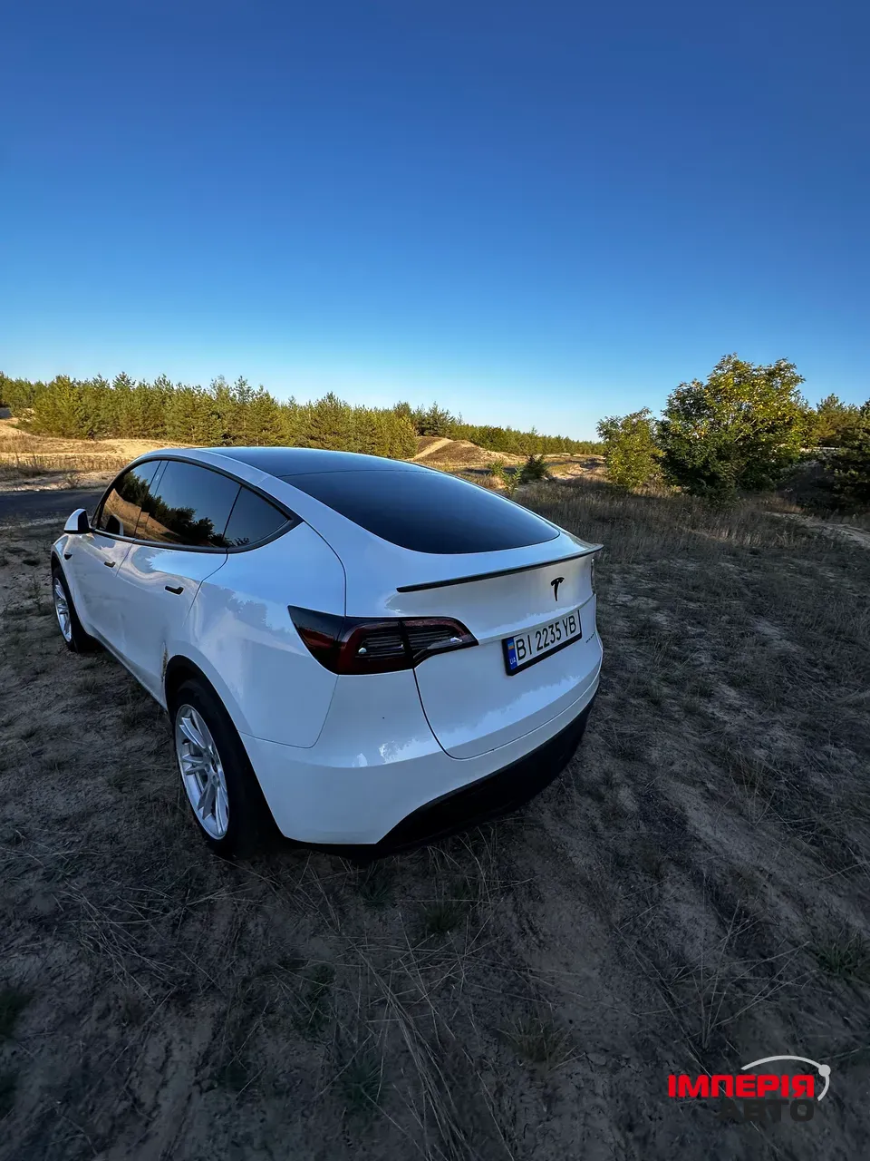 Tesla Model Y - фото 12