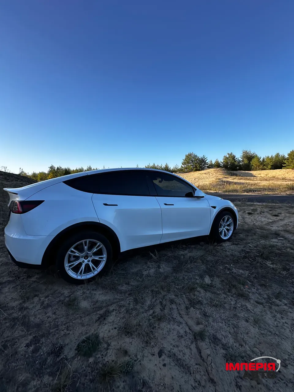 Tesla Model Y - фото 4