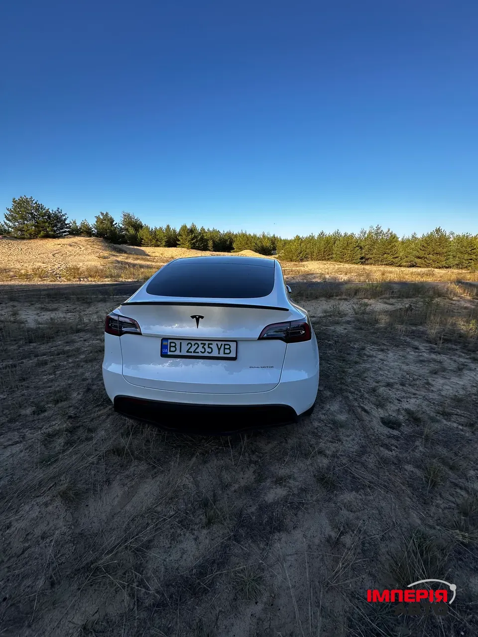 Tesla Model Y - фото 10